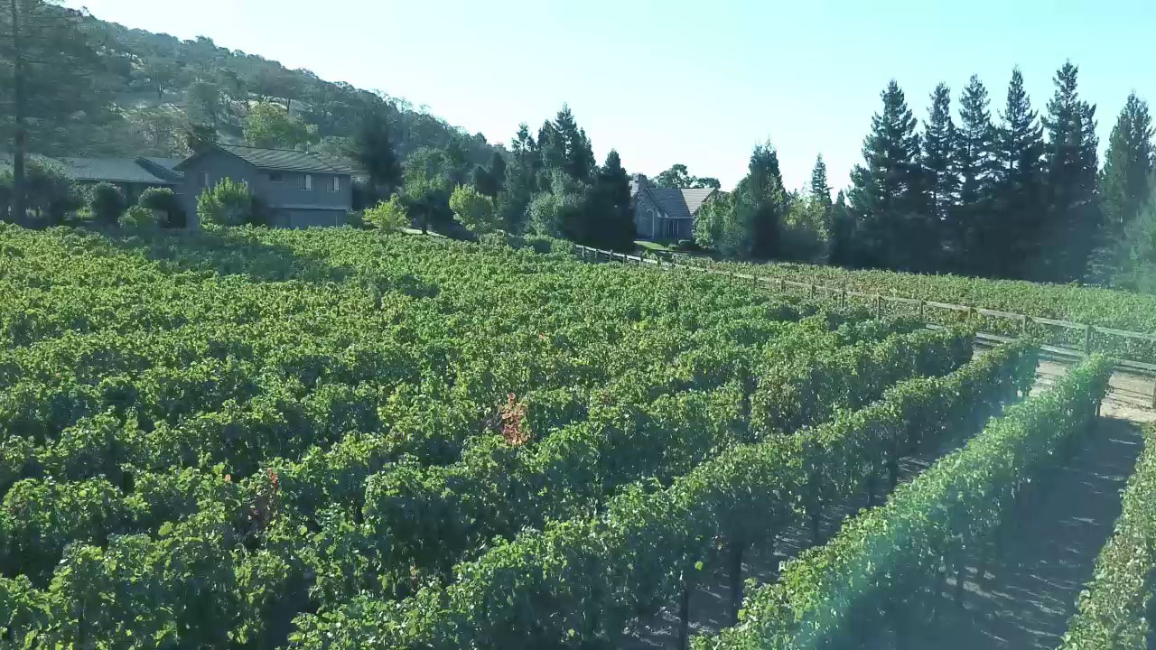 SUNSET CELLARS - Micro Family Winery in California